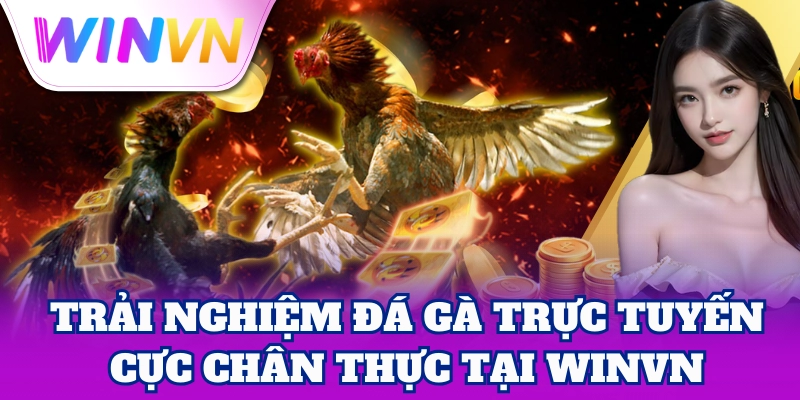 Trải nghiệm đá gà trực tuyến cực chân thực tại WinVN
